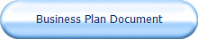 Business Plan Document